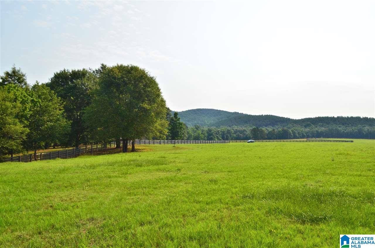 4683 Mcgowans Ferry Road Childersburg, AL 35044 - Photo 1 of 46