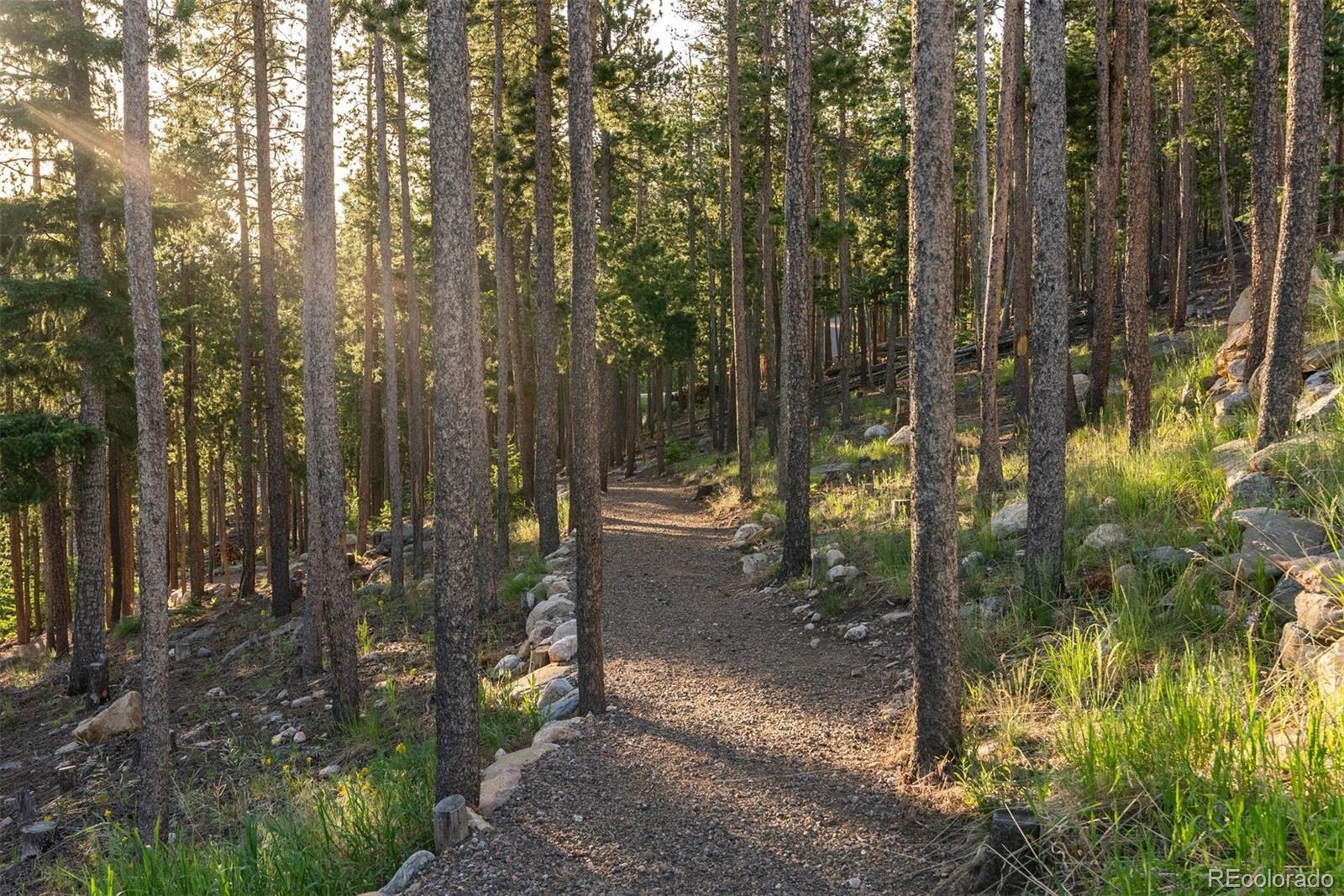 34650 Sleeping Fox Trail Evergreen, CO 80439 - Photo 40 of 49 a view of a forest with a tree