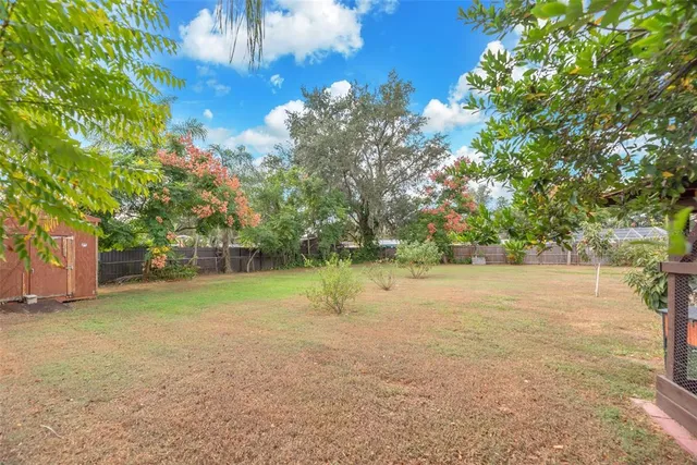 a view of a yard with a tree