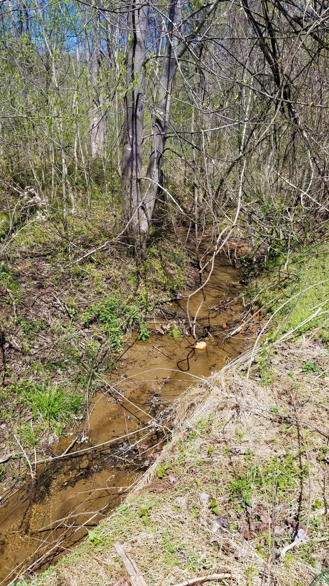 267 Valley Road Hardy, VA 24101 - Photo 22 of 71 22 Creek