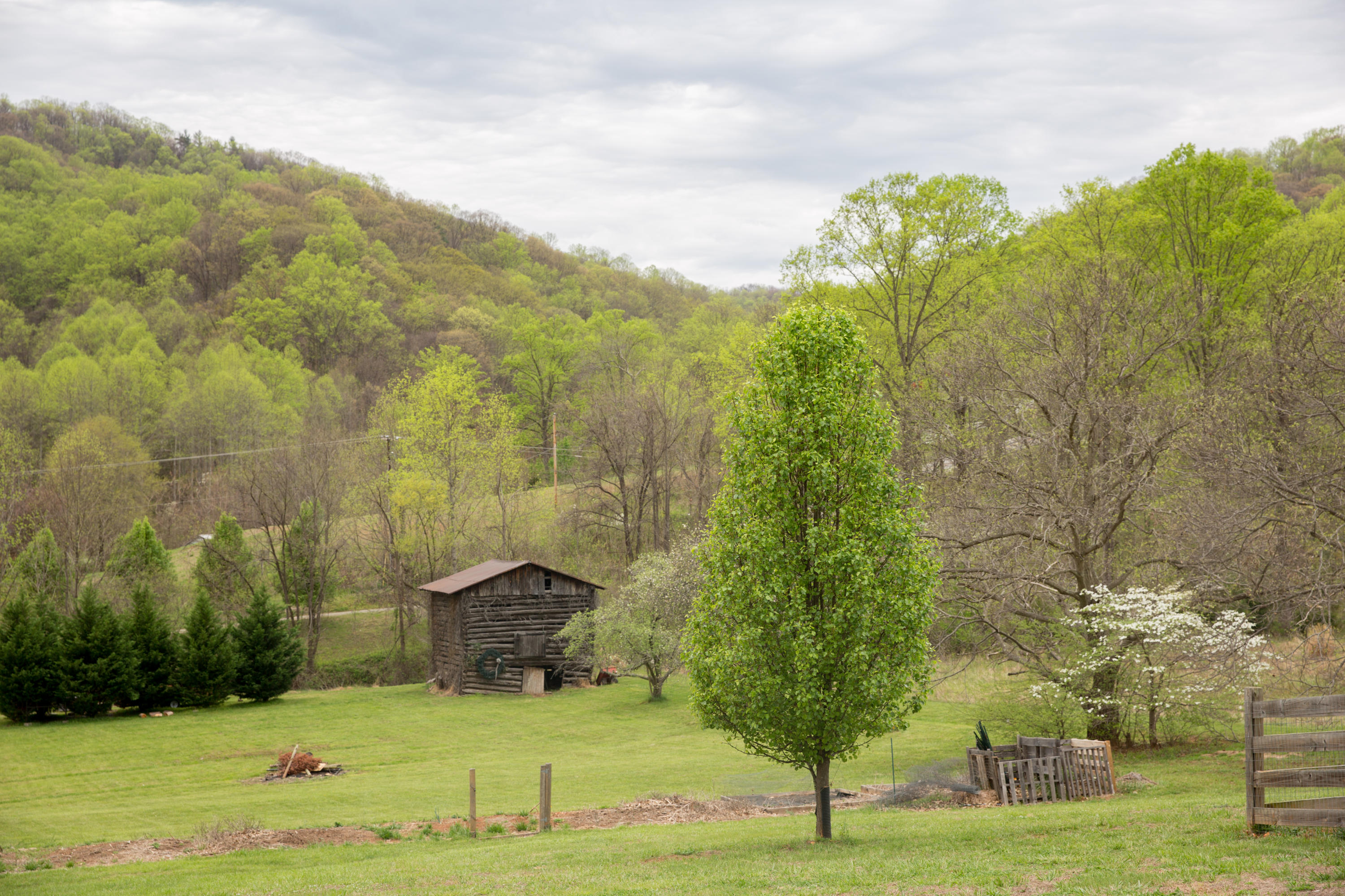 267 Valley Road Hardy, VA 24101 - Photo 60 of 71 59 Barn at Distance
