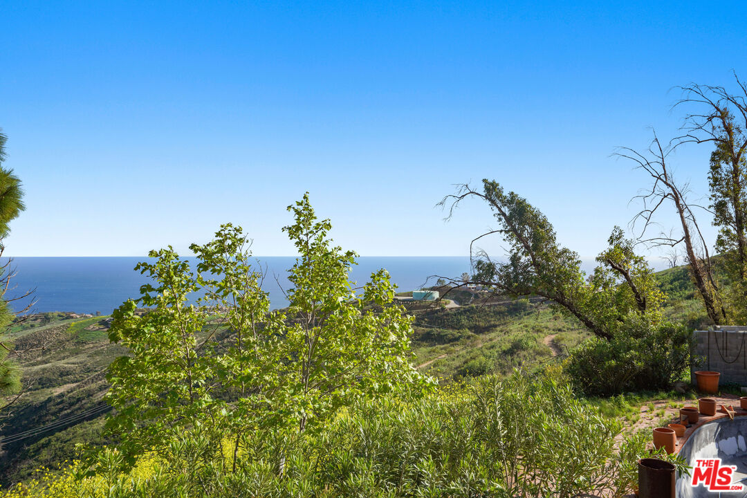 5524 Murphy Way Malibu, CA 90265 - Photo 7 of 14 a view of a garden