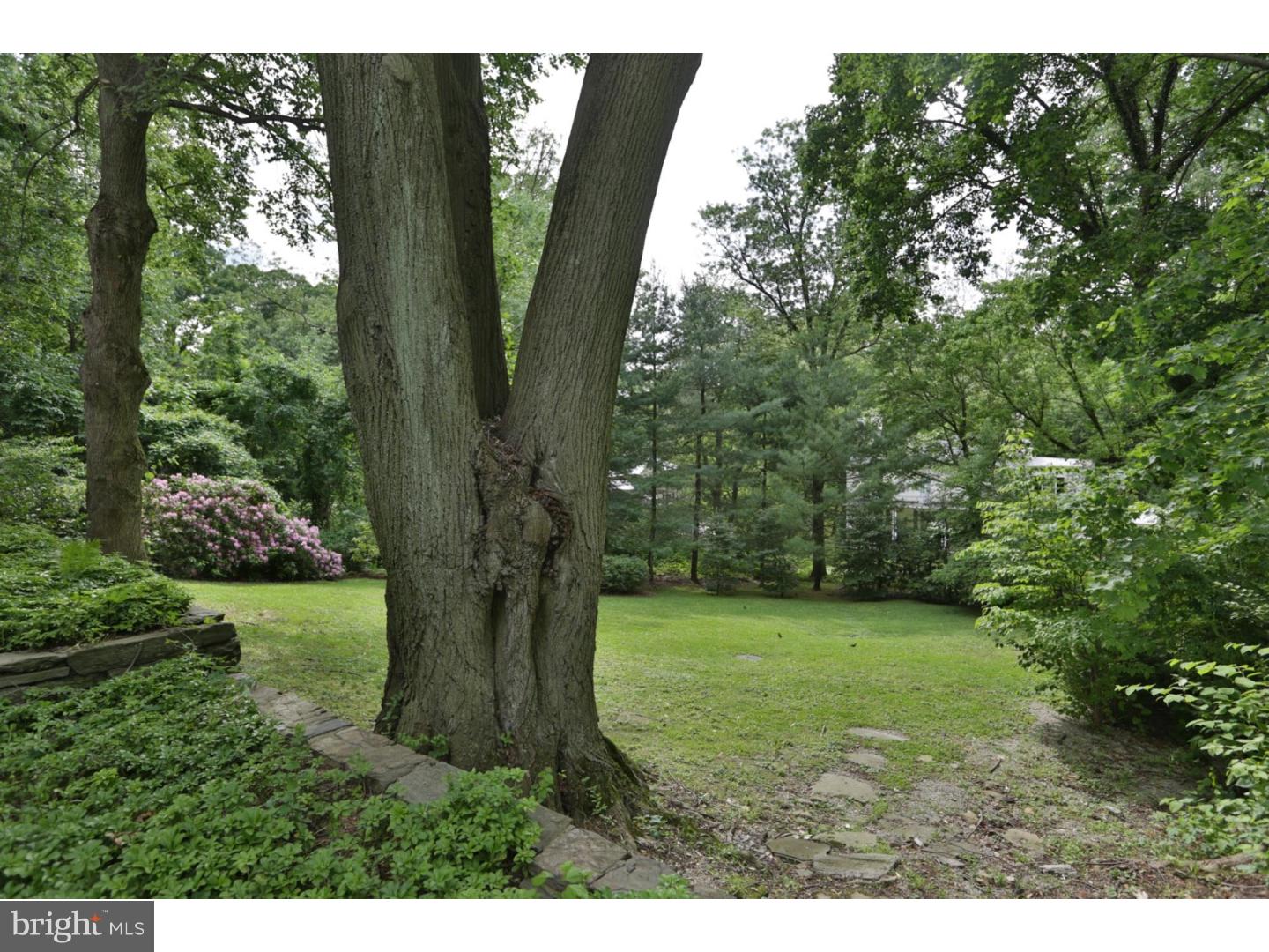 35 West Hampton Road Philadelphia, PA 19118 - Photo 22 of 23