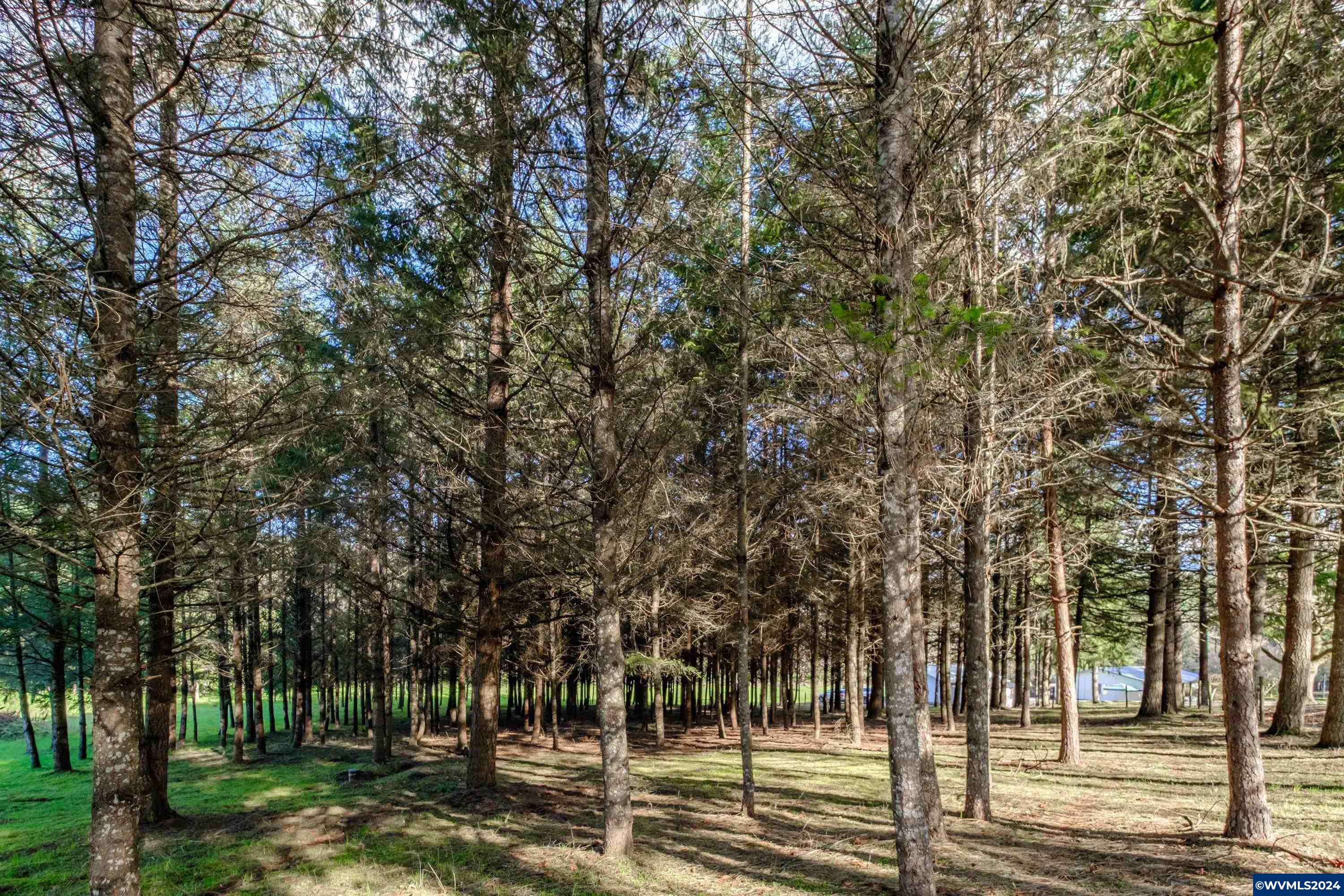 Buck Hill Lane Lebanon, OR 97355 - Photo 21 of 31