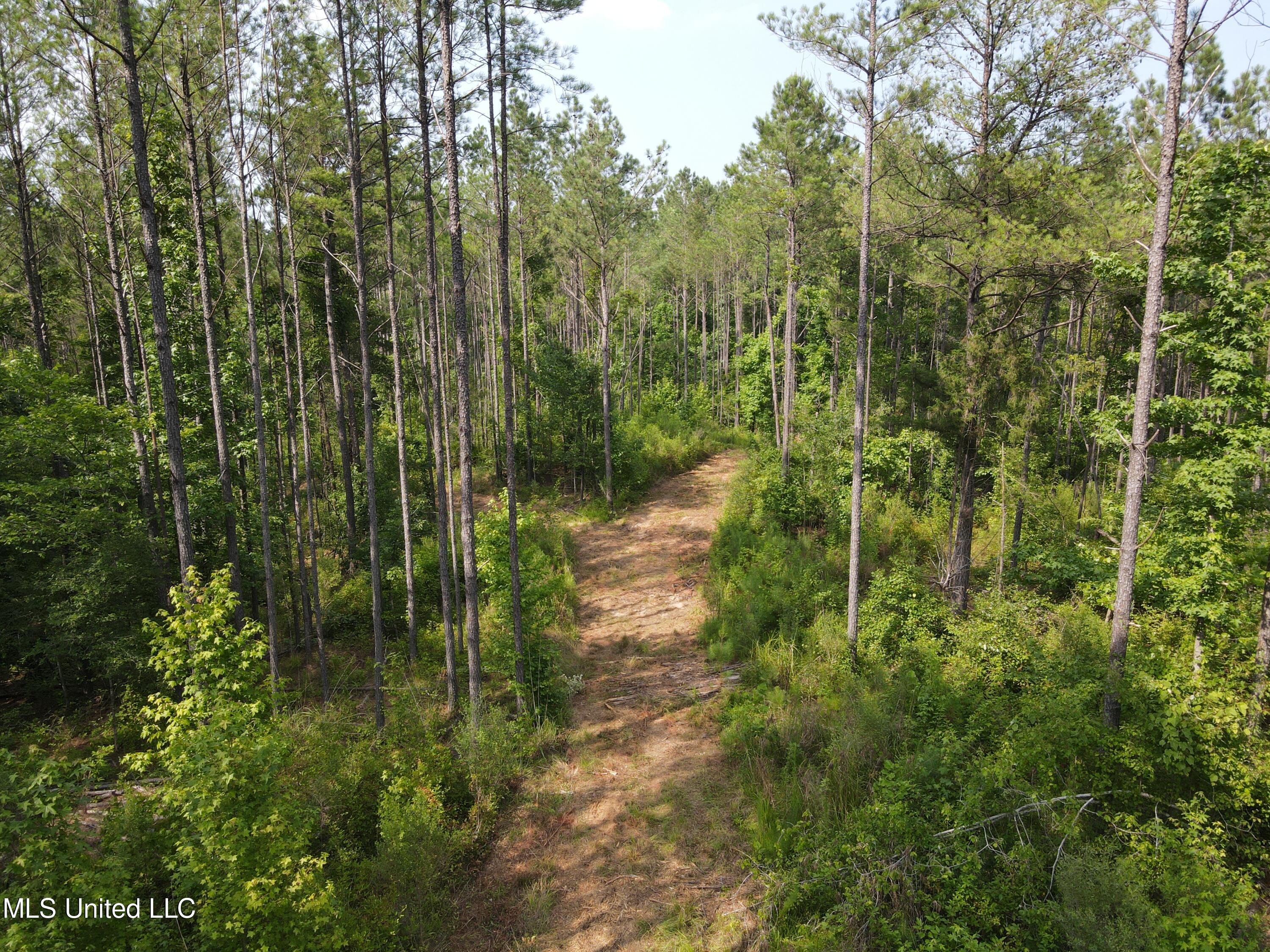 Tbd Green Door Road Eupora, MS 39744 - Photo 8 of 12 DJI_0178