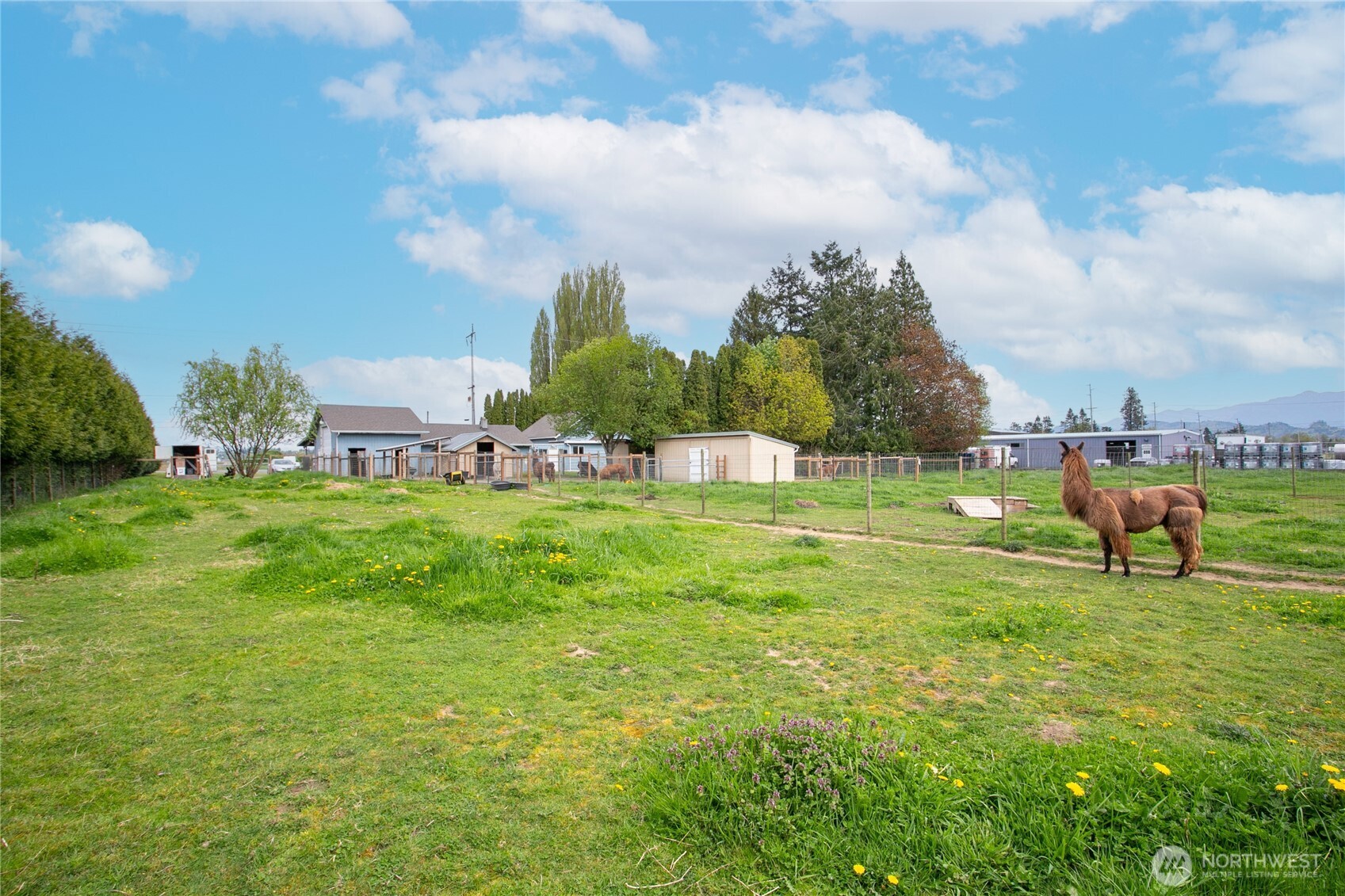 3257 East Badger Road Everson, WA 98247 - Photo 25 of 37