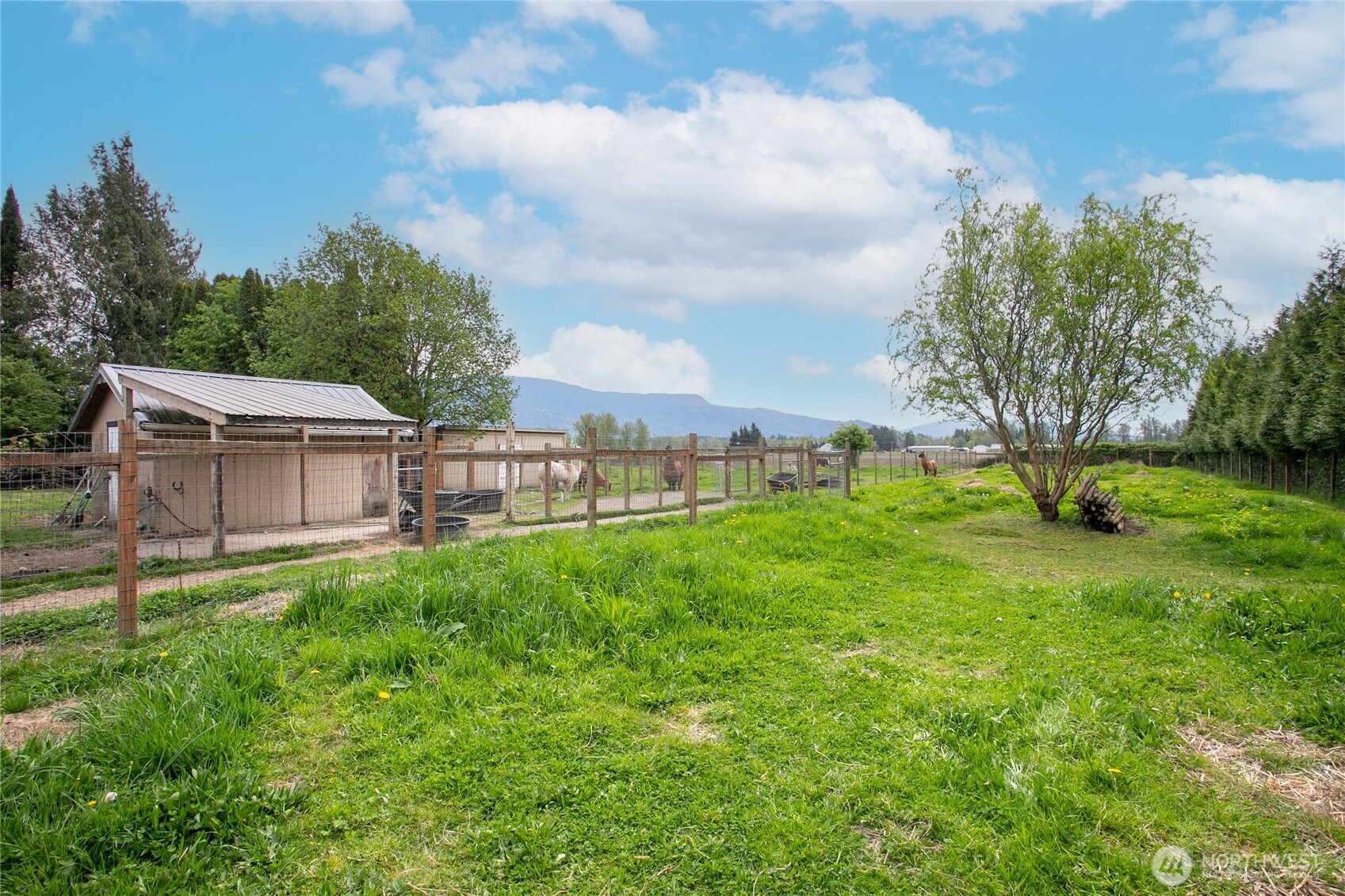 3257 East Badger Road Everson, WA 98247 - Photo 26 of 37