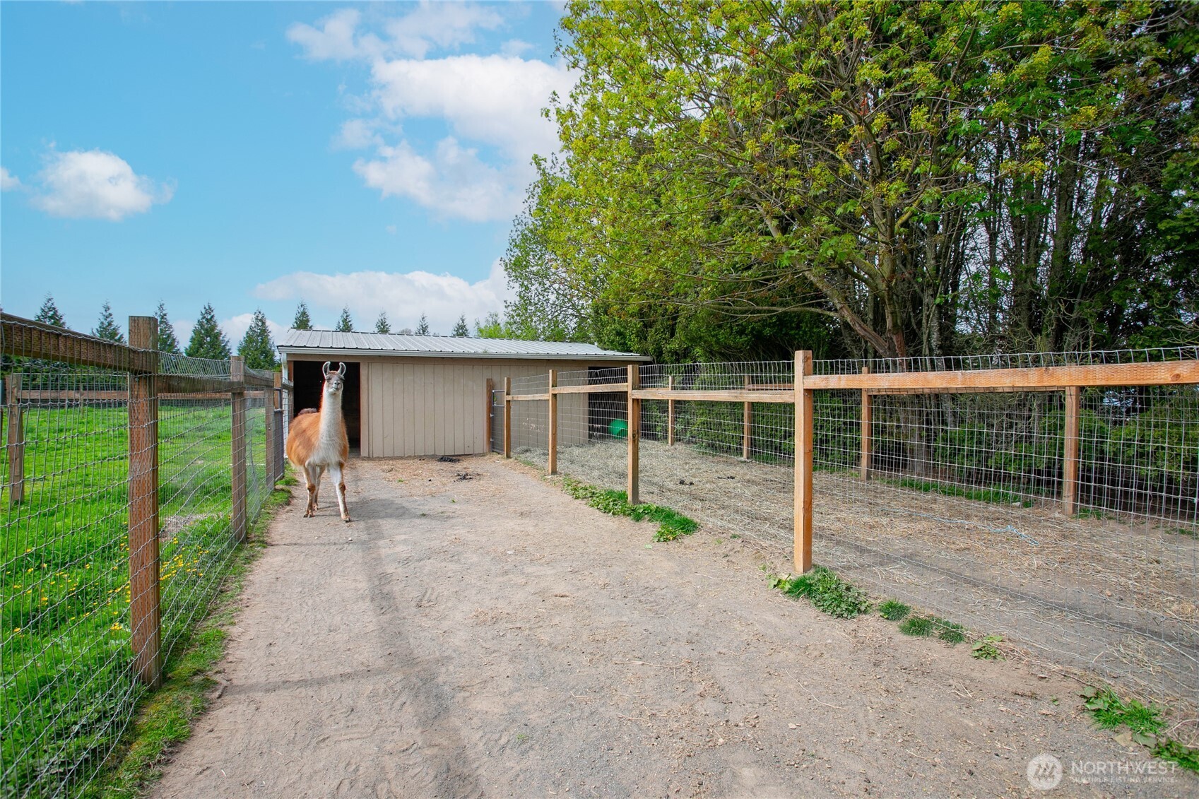 3257 East Badger Road Everson, WA 98247 - Photo 28 of 37