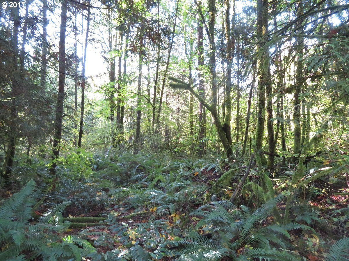 Klein Road Napavine, WA 98532 - Photo 21 of 23
