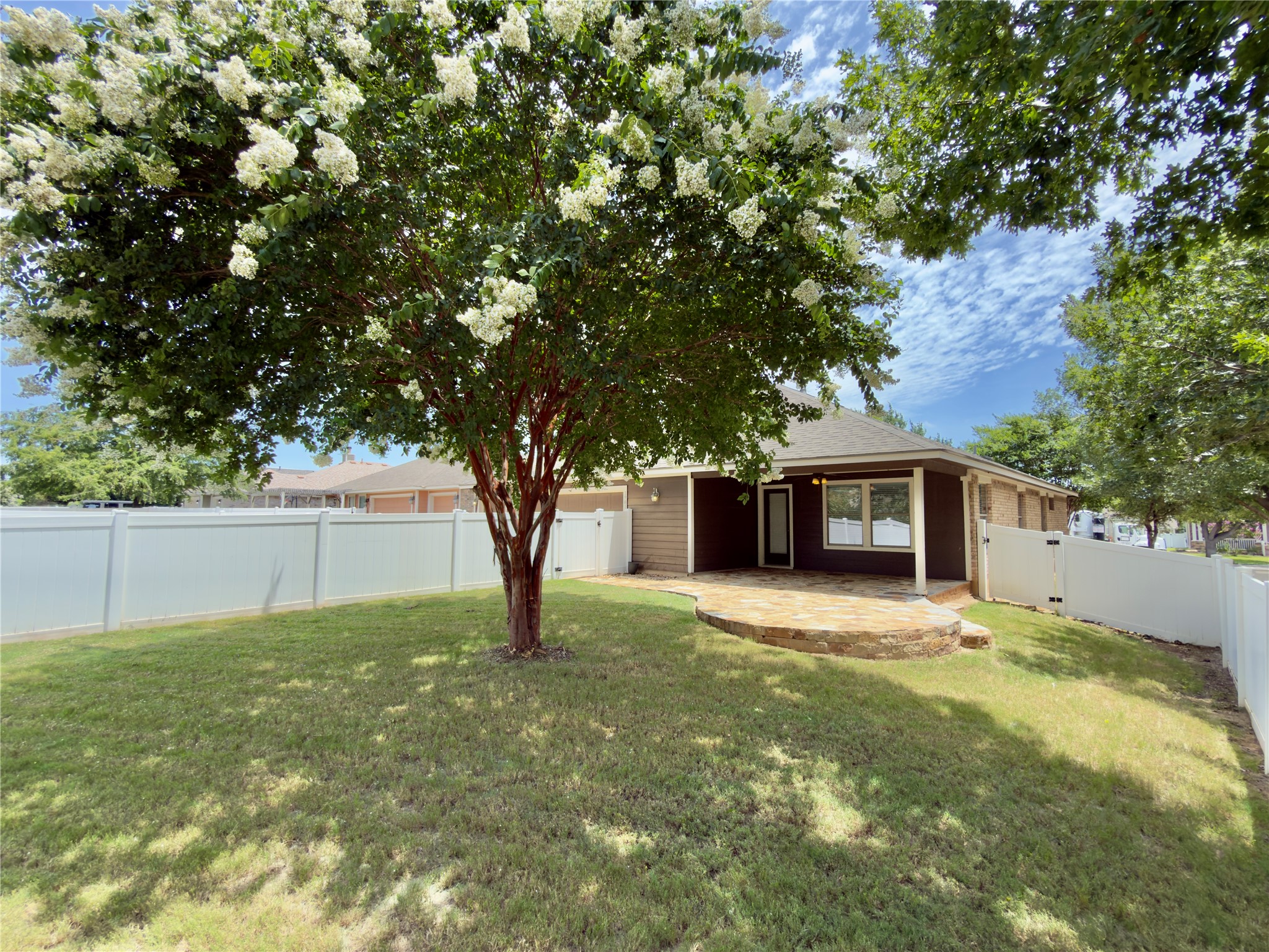 1901 Main Street Cedar Park, TX 78613 - Photo 24 of 27 Back Yard with Extended Patio