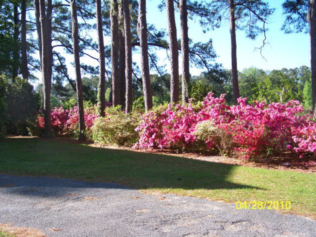 114 Honey Pod Farm Road Washington, NC 27889 - Photo 16 of 19 Additional Photo