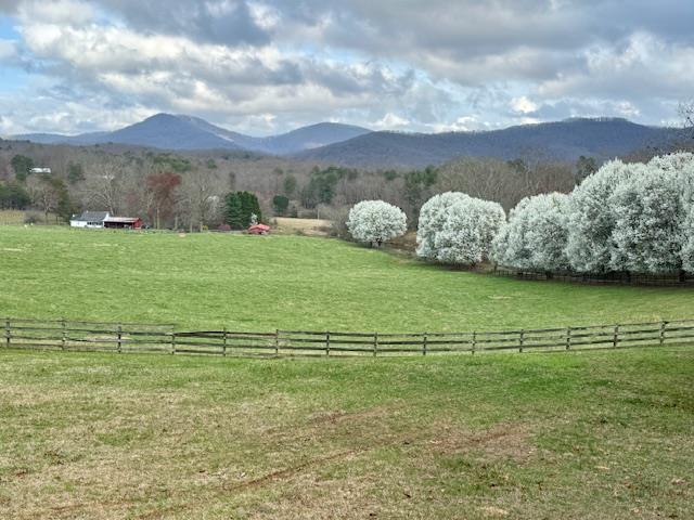 205 Oak Ridge Road Morganton, GA 30560 - Photo 10 of 62 Gallery Image 10