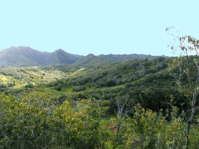 Koolau Road, Unit 5 Kilauea, HI 96754 - Photo 1 of 4 a view of a mountain range with lush green forest