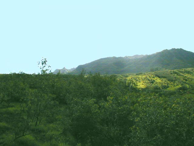 Koolau Road, Unit 5 Kilauea, HI 96754 - Photo 2 of 4 a view of a lush green field with a mountain in the background