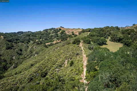 a view of a green field