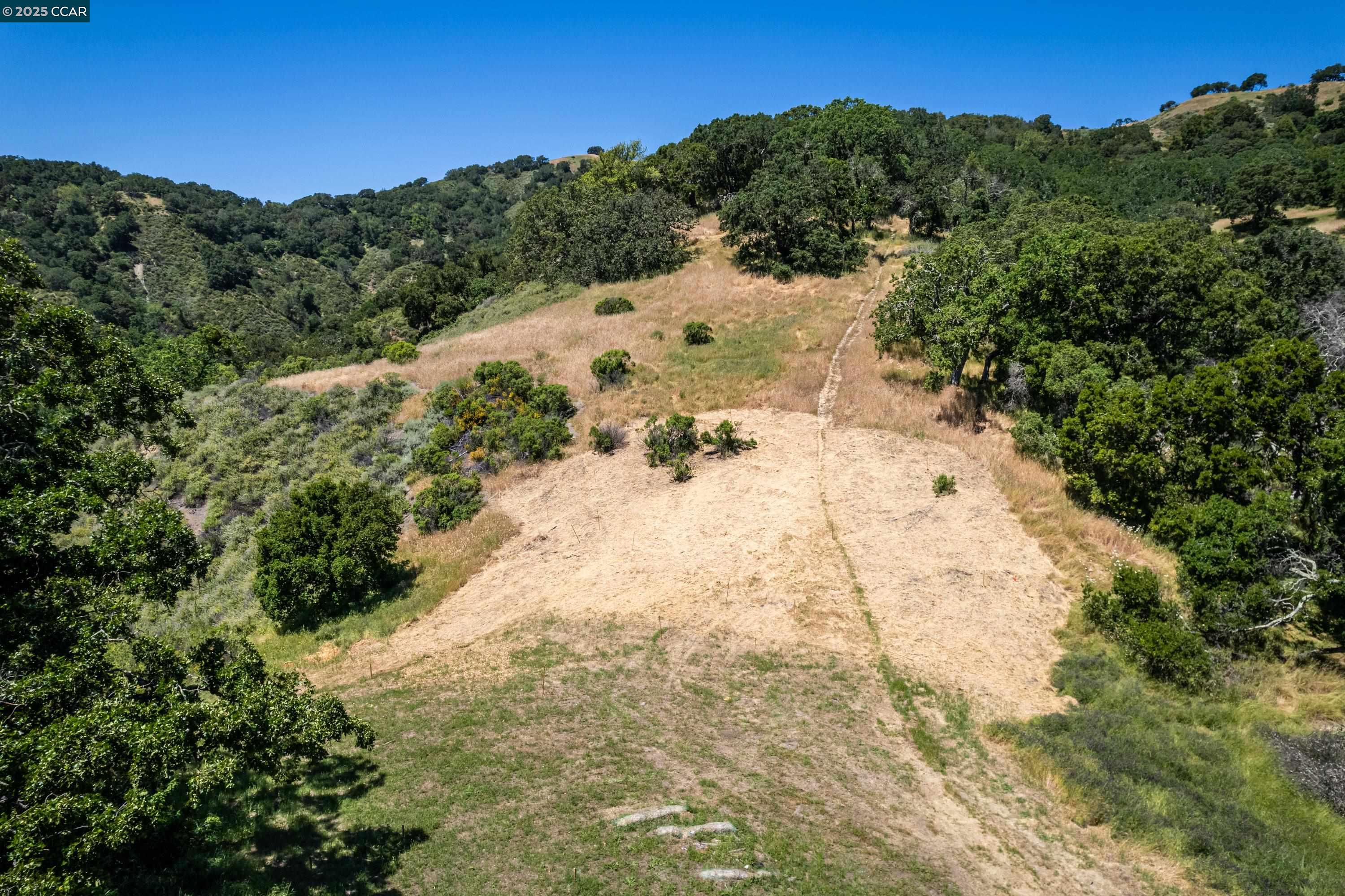 0 Monticello Road Lafayette, CA 94549 - Photo 14 of 33 a view of a yard with a tree