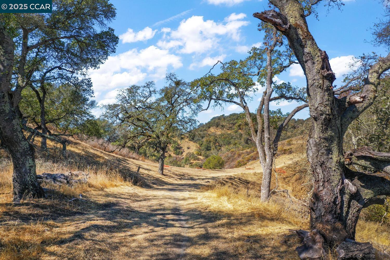 0 Monticello Road Lafayette, CA 94549 - Photo 30 of 33 a view of a yard with a tree