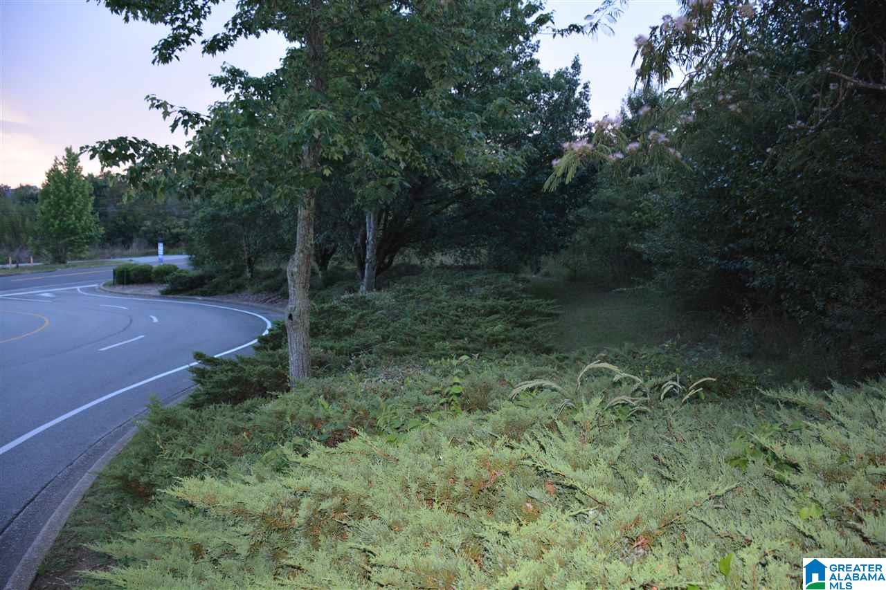 2143 Clearbrook Road, Unit LOT 7 Birmingham, AL 35226 - Photo 3 of 6