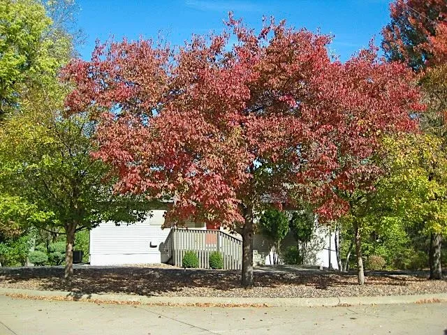 $210,000 | 222 Granger Street, Marquette, IA 52158