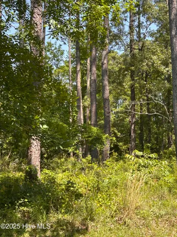 $65,000 | 135 Martin Creek Drive, Beaufort, NC 28516