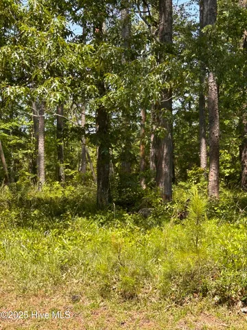 $65,000 | 135 Martin Creek Drive, Beaufort, NC 28516