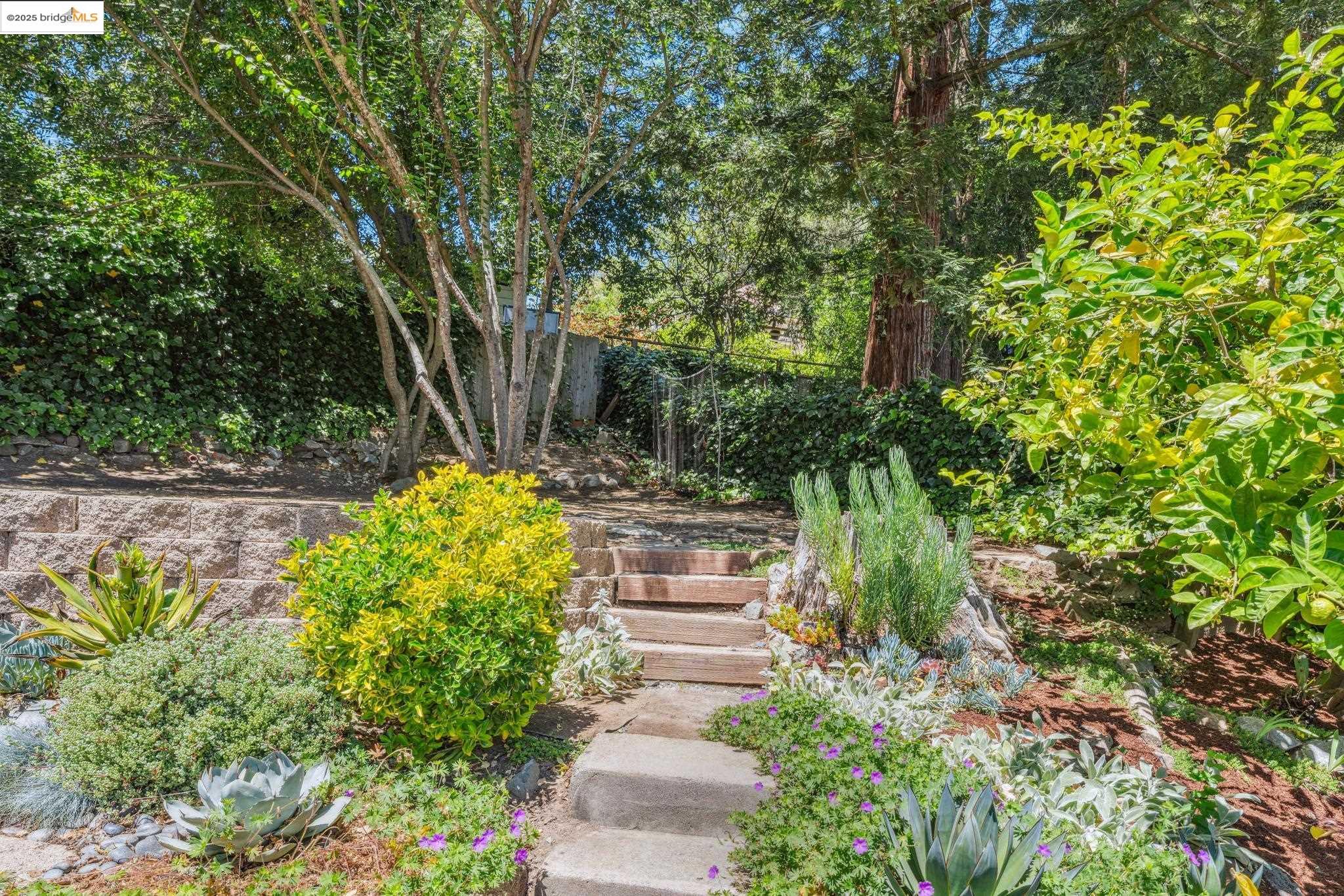 7069 Saroni Drive Oakland, CA 94611 - Photo 33 of 40