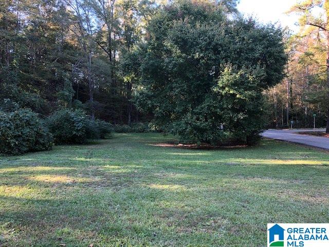 802 Old Wagon Road Pell City, AL 35125 - Photo 29 of 29