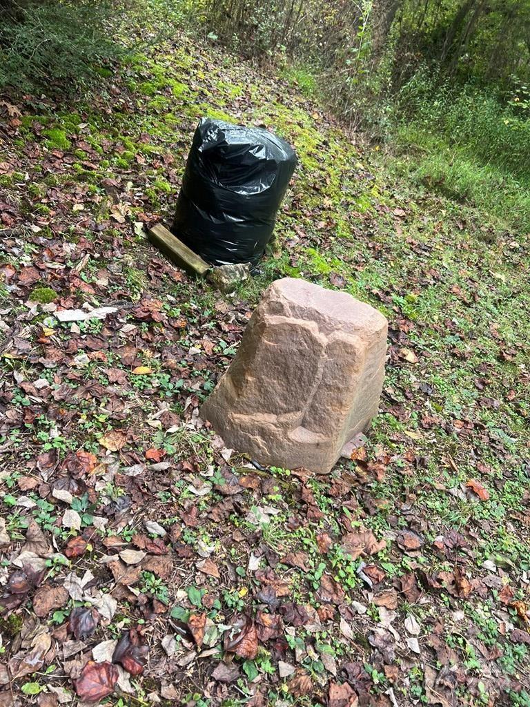 0 Big Spider Road Sylva, NC 28779 - Photo 14 of 15