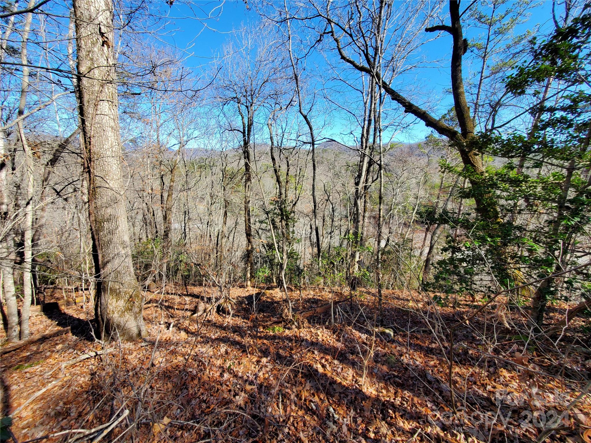 0 Big Spider Road Sylva, NC 28779 - Photo 6 of 15
