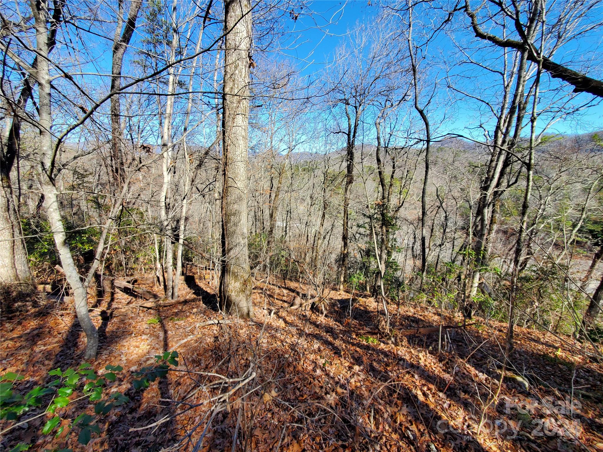 0 Big Spider Road Sylva, NC 28779 - Photo 7 of 15