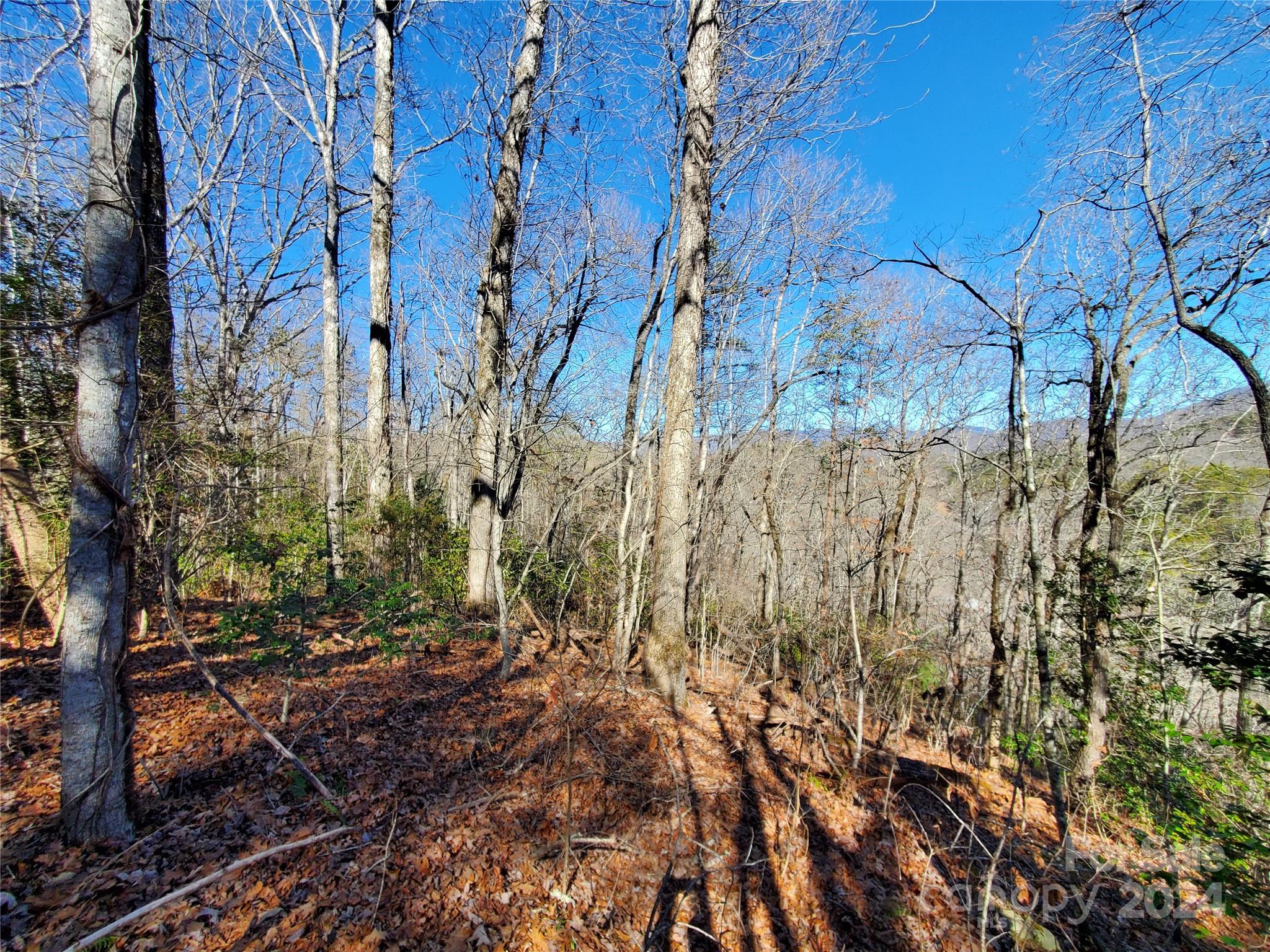 0 Big Spider Road Sylva, NC 28779 - Photo 8 of 15