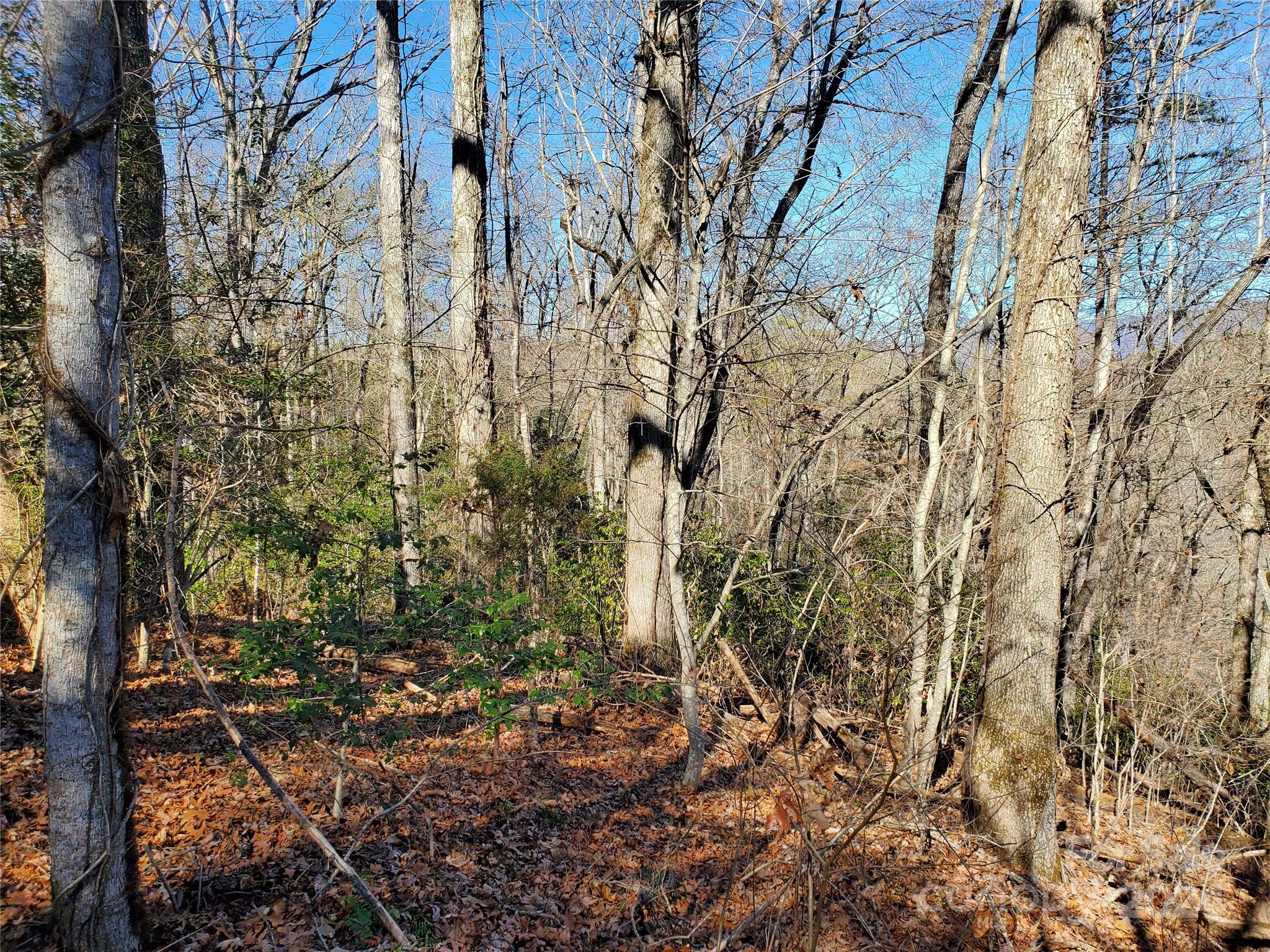 0 Big Spider Road Sylva, NC 28779 - Photo 9 of 15