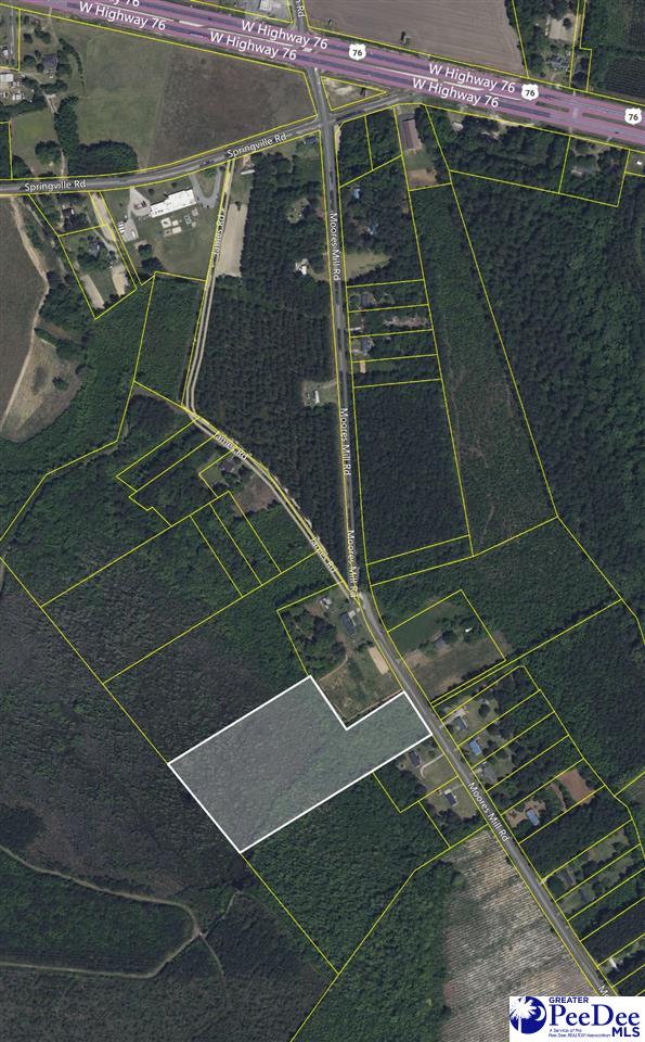 Tbd Moores Mill Road Marion, SC 29571 - Photo 1 of 2 Gallery Image 1
