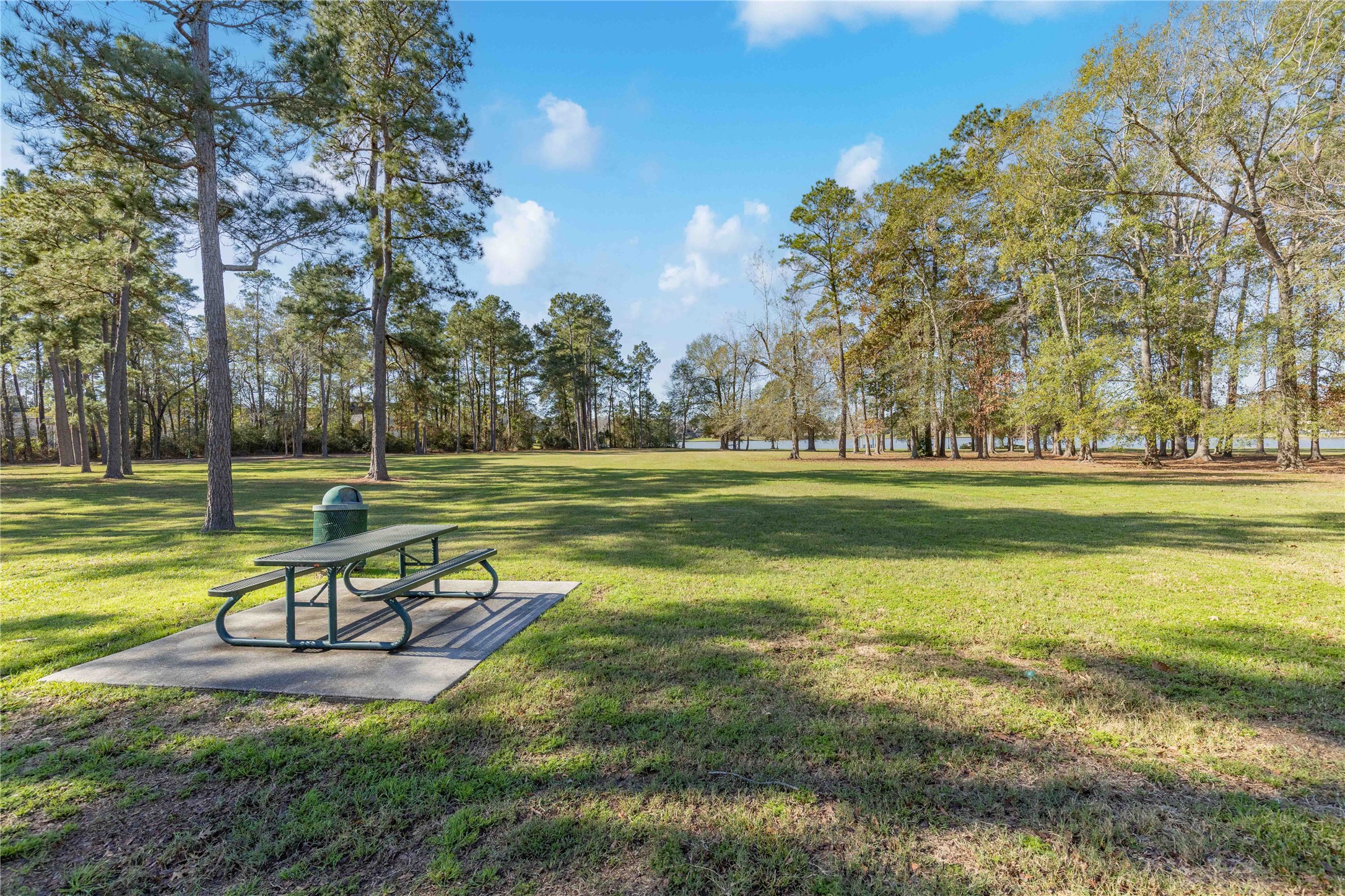 27430 Whispering Maple Way Spring, TX 77386 - Photo 11 of 12 a view of a park with swings and a yard