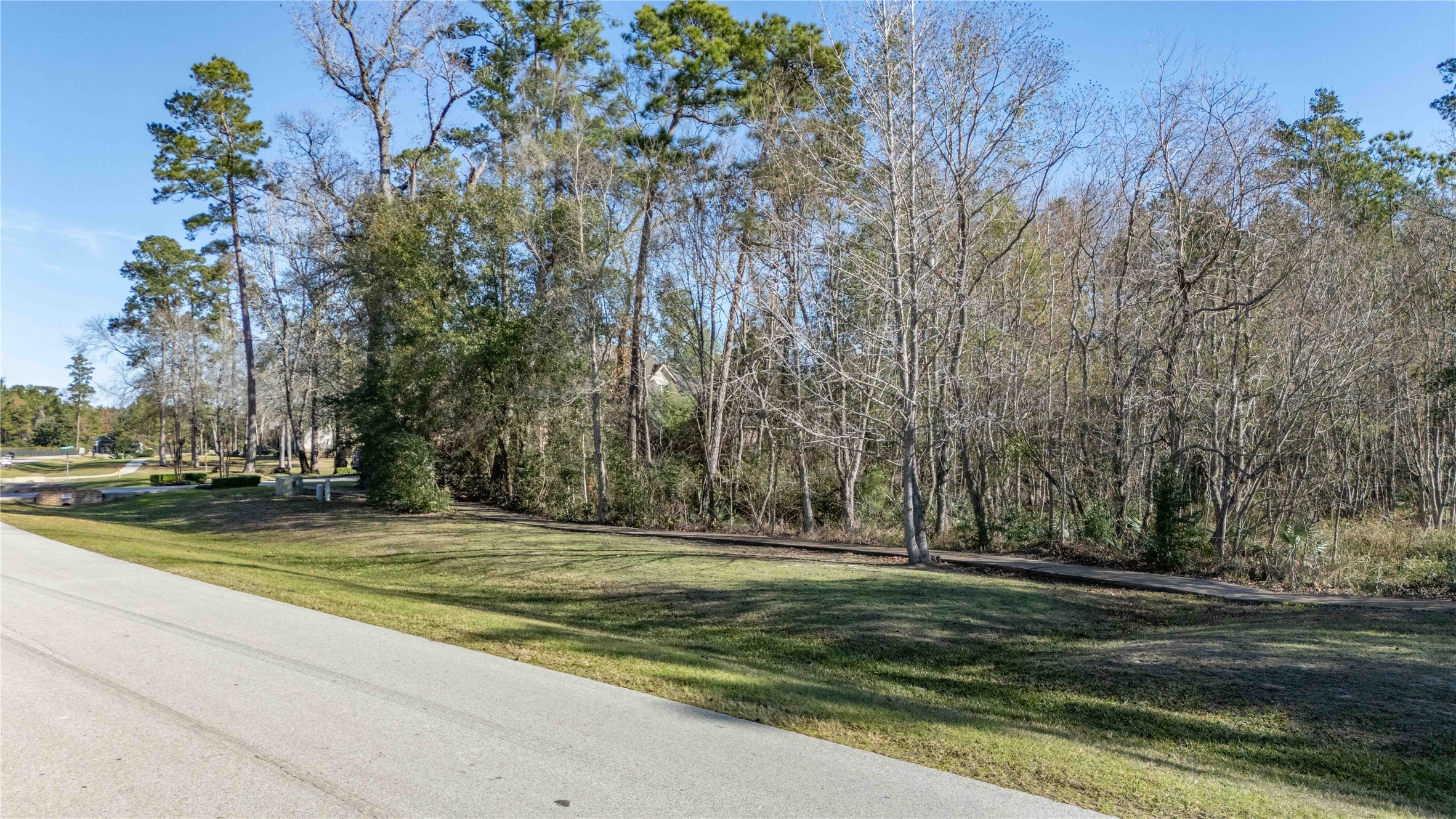 27430 Whispering Maple Way Spring, TX 77386 - Photo 5 of 12 a view of a yard with large trees