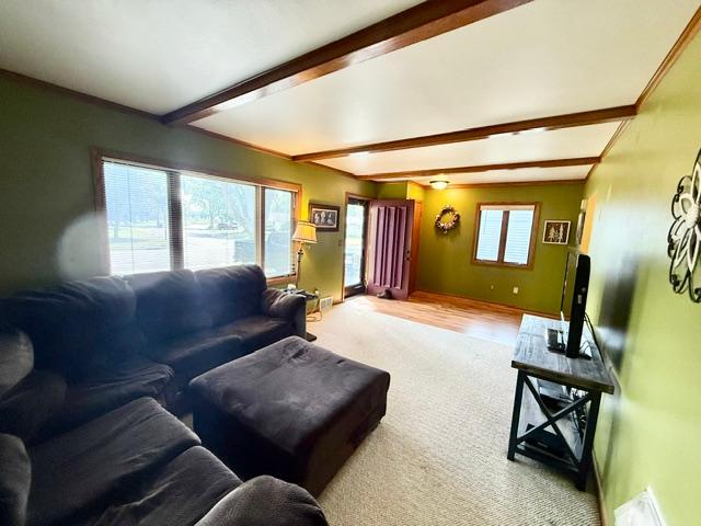 115 Fallwood Road Redwood Falls, MN 56283 - Photo 18 of 31 Gallery Image 18