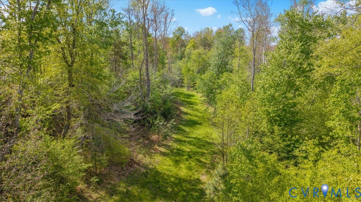 0 Courthouse Road Louisa, VA 23093 - Photo 15 of 33
