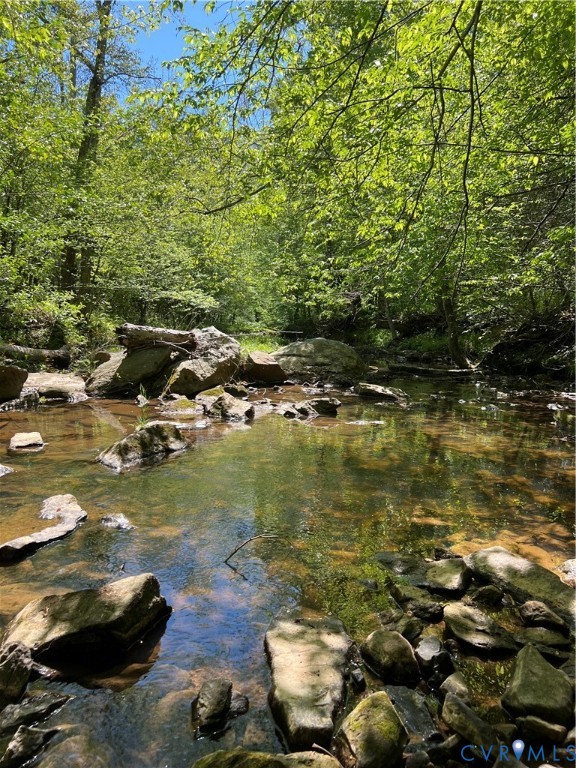 0 Courthouse Road Louisa, VA 23093 - Photo 18 of 33