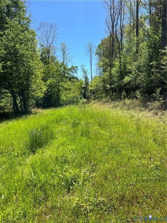 0 Courthouse Road Louisa, VA 23093 - Photo 23 of 33