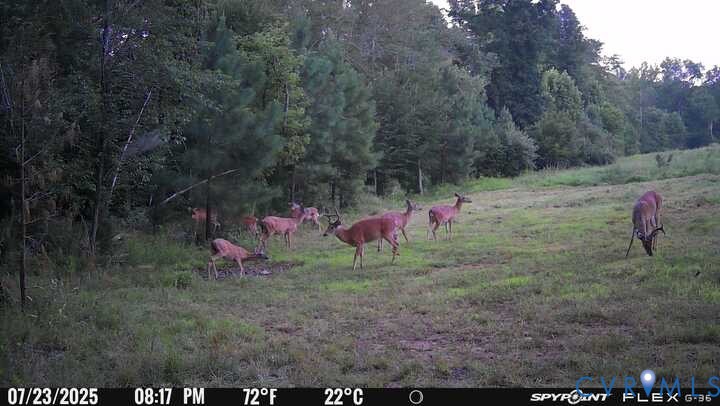 0 Courthouse Road Louisa, VA 23093 - Photo 25 of 33
