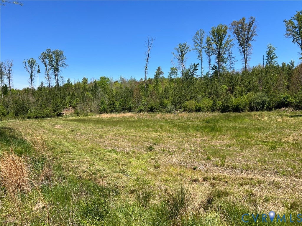0 Courthouse Road Louisa, VA 23093 - Photo 27 of 33