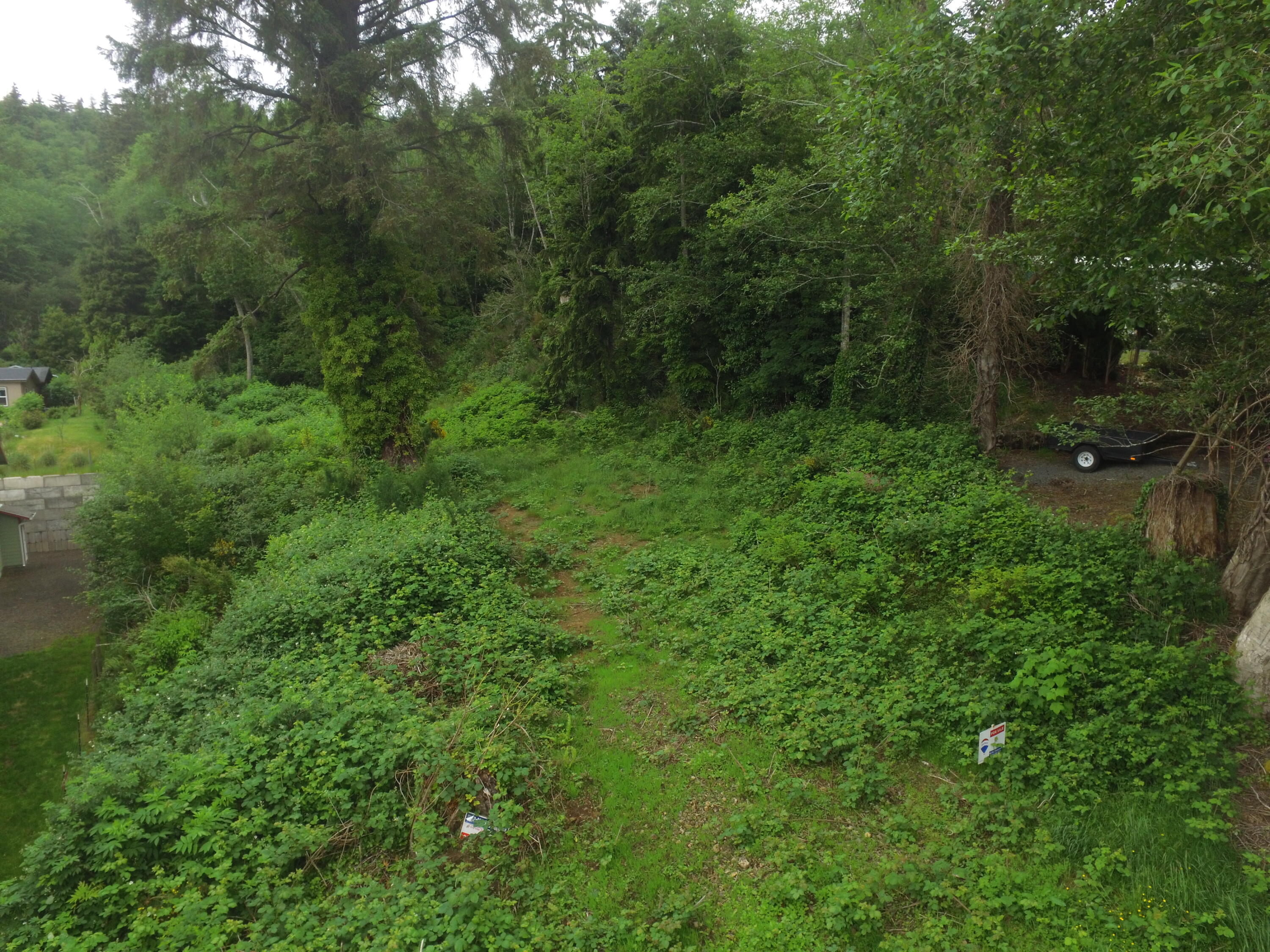 Vl Halverson Lane Garibaldi, OR 97118 - Photo 2 of 19 DJI_0021