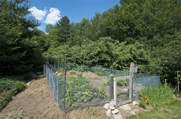 229 Concord Road Wayland, MA 01778 - Photo 25 of 29