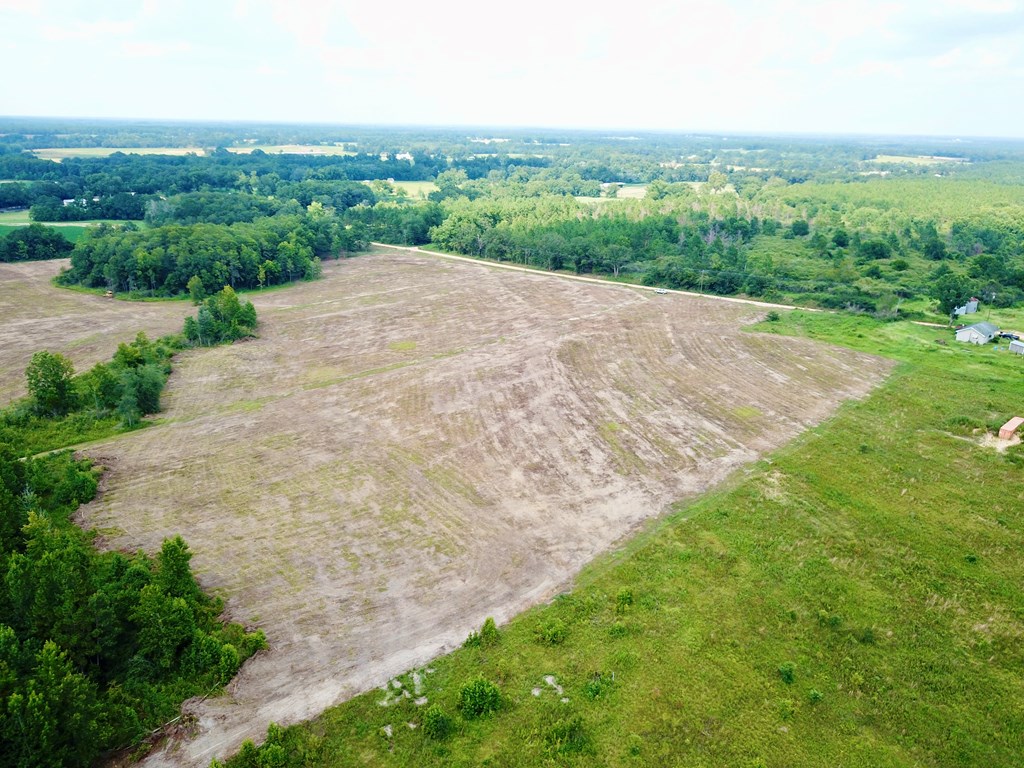 L5 New Hinson Road Slocomb, AL 36375 - Photo 4 of 23