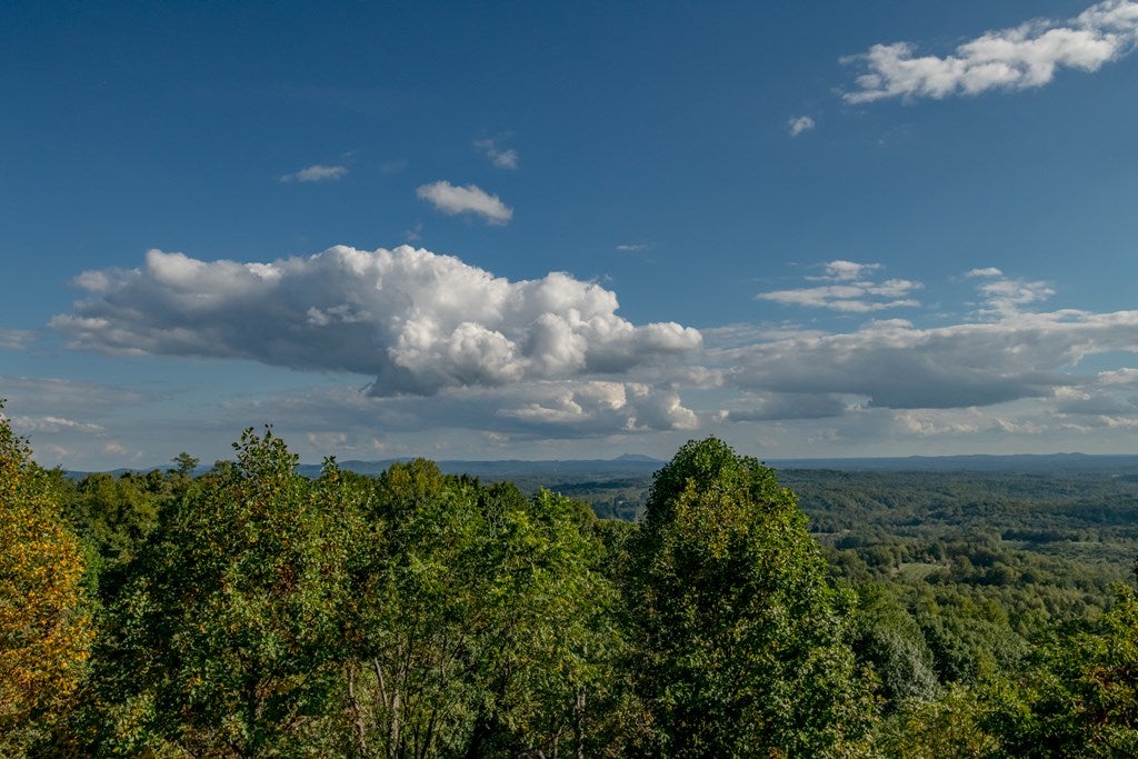 8743 Wards Gap Road Cana, VA 24317 - Photo 11 of 94 Gallery Image 11