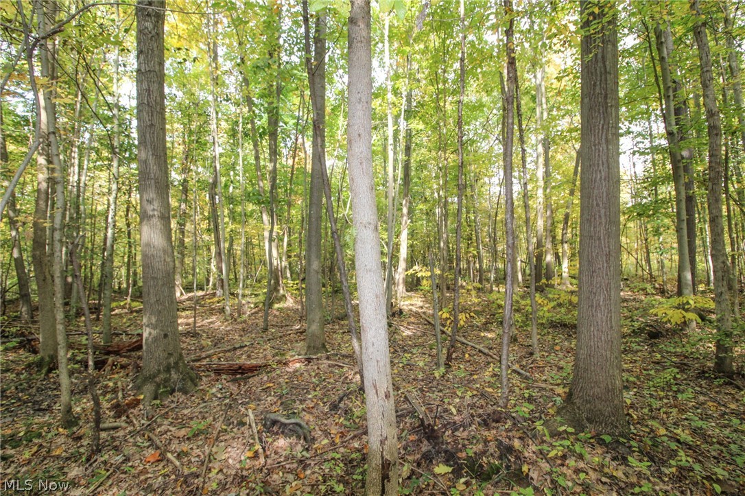 0 Kyle Road Dorset, OH 44032 - Photo 31 of 35 Gallery Image 31