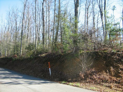 Lot 29 Sonshine Ridge Road Cosby, TN 37722 - Photo 15 of 21 Additional Photo