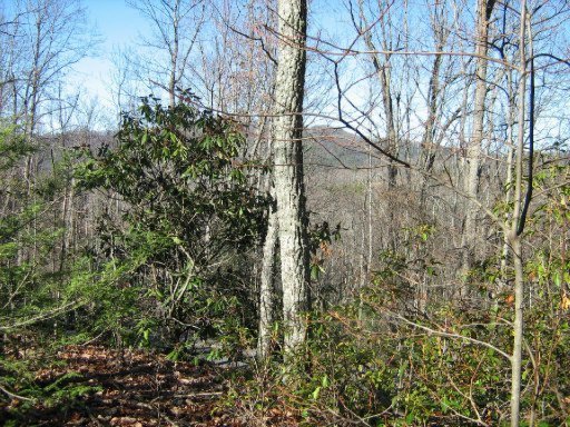 Lot 29 Sonshine Ridge Road Cosby, TN 37722 - Photo 5 of 21 Additional Photo