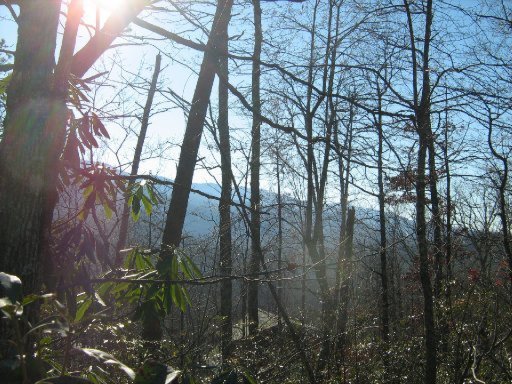 Lot 29 Sonshine Ridge Road Cosby, TN 37722 - Photo 8 of 21 Additional Photo