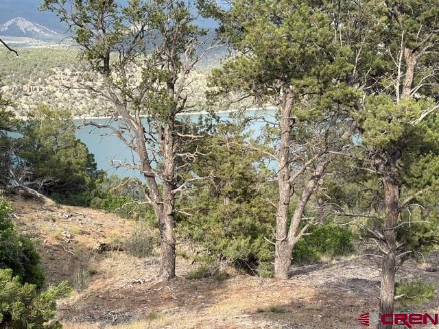 254 Waterview Cove Ridgway, CO 81432 - Photo 23 of 28